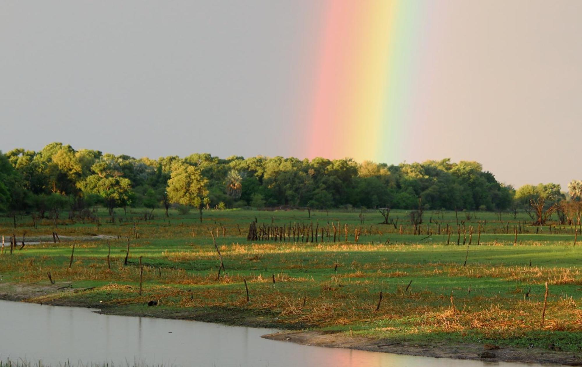 Island Safari Lodge Maun ภายนอก รูปภาพ