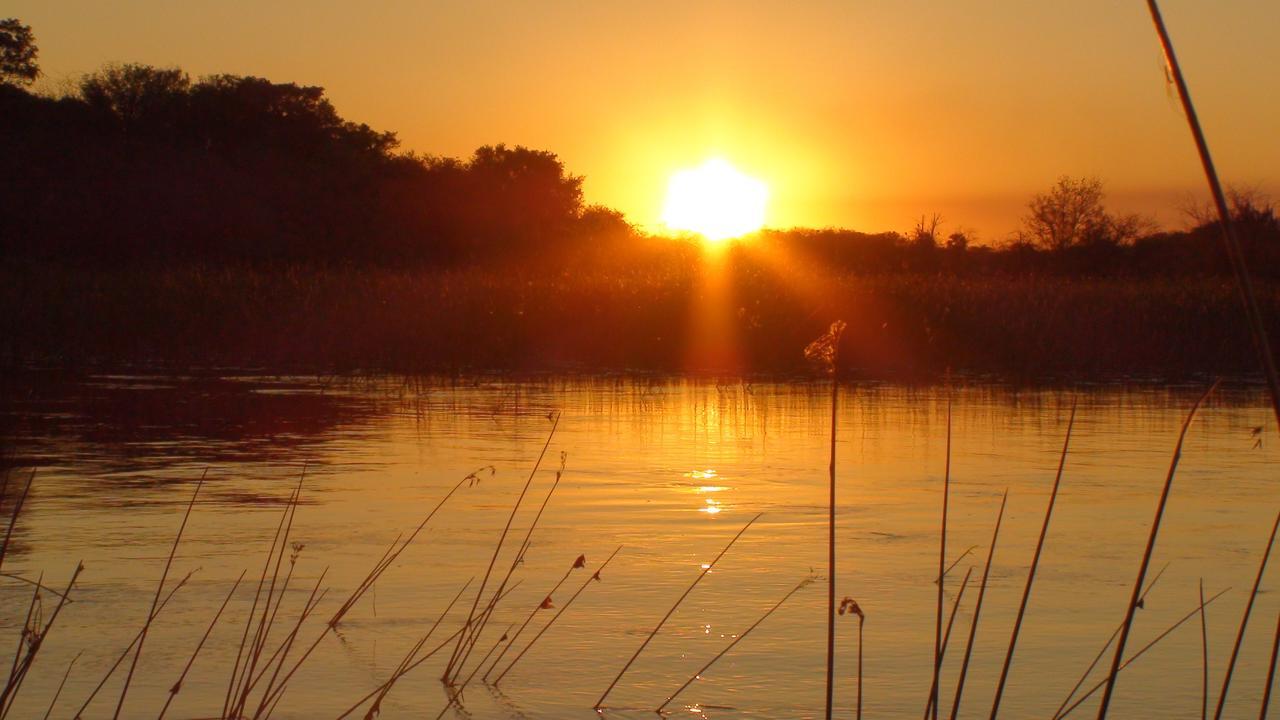 Island Safari Lodge Maun ภายนอก รูปภาพ