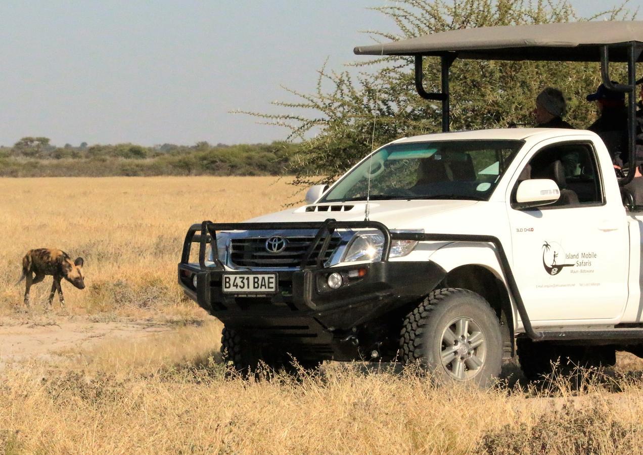 Island Safari Lodge Maun ภายนอก รูปภาพ